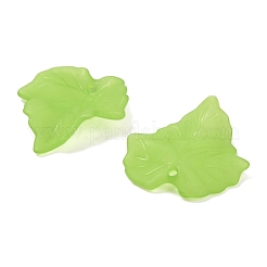 Frosted Acrylic Pendants&nbsp;FACR-G006-01A