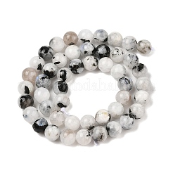 Natural Rainbow Moonstone Beads Strands&nbsp;G-Q1001-A05-03-01