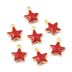 Brass Enamel Charms&nbsp;KK-K337-02G