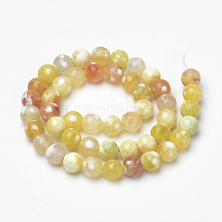 Dyed Natural Fire Crackle Agate Beads Strands&nbsp;G-Q462-127D-8mm