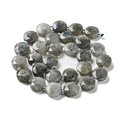 Natural Labradorite Beads Strands&nbsp;G-NH0004-001