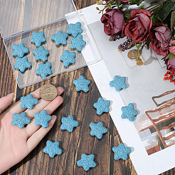 24Pcs Star Synthetic Lava Rock Beads&nbsp;G-PA0002-25A