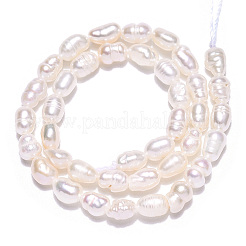 Natural Cultured Freshwater Pearl Beads Strands&nbsp;PEAR-N012-03H