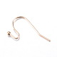 Iron Earring Hooks&nbsp;IFIN-T001-05KC-2