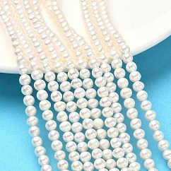 Natural Cultured Freshwater Pearl Beads Strands, Round, Grade 3A, Old Lace, 4.5~5mm, Hole: 0.5mm, about 84pcs/strand, 15.55 inch(39.5cm)