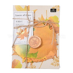 50Pcs Maple Leaf Theme Paper Stickers&nbsp;STIC-P017-C02