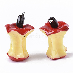 Resin Pendants&nbsp;X-RESI-N023-01
