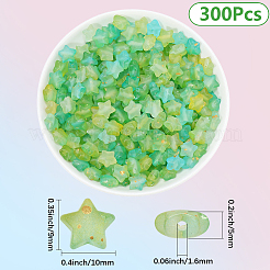 300Pcs Frosted Acrylic Beads&nbsp;OACR-PA0001-71C