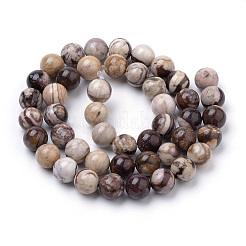 Natural Zebra Jasper Beads Strands&nbsp;G-S259-30-8mm