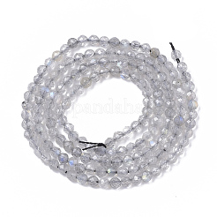 Natural Labradorite Beads Strands&nbsp;G-S361-2mm-010