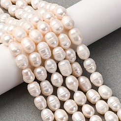 Natural Cultured Freshwater Pearl Beads Strands&nbsp;PEAR-L001-A-20