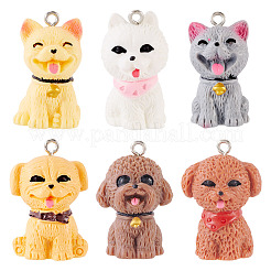 12Pcs 6 Styles Opaque Resin Pendants&nbsp;CRES-TA0001-50