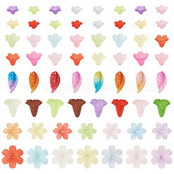 230Pcs 6 Styles Transparent Acrylic Beads&nbsp;OACR-TA0004-39
