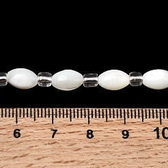 Natural Trochid Shell/Trochus Shell Beads Strands&nbsp;BSHE-A002-05