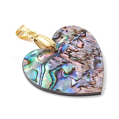 Natural Paua Shell Pendants&nbsp;PALLOY-JF05226-01