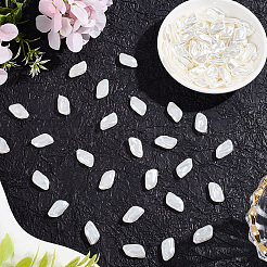 100Pcs ABS Plastic Imitation Pearl Beads&nbsp;OACR-LT0001-08
