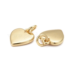 Brass Pendants&nbsp;KK-Z008-12G