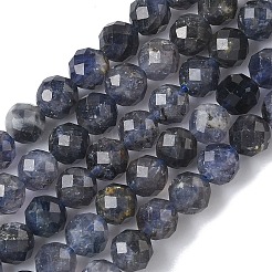Natural Iolite/Cordierite/Dichroite Beads Strands&nbsp;G-L651-C03-6mm