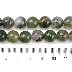 Natural Moss Agate Beads Strands&nbsp;G-J358-01-10MM