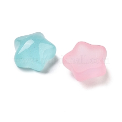 Transparent Resin Decoden Cabochons&nbsp;RESI-B027-04