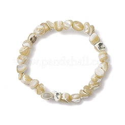 Natural Trochus Shell Beads Stretch Bracelets for Men Women&nbsp;BJEW-JB11685