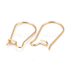 316 Surgical Stainless Steel Hoop Earring Findings&nbsp;X-STAS-A056-12G-C