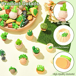 48Pcs 12 Styles Resin Bonsai Display Ornaments&nbsp;DJEW-CJZ0001-001