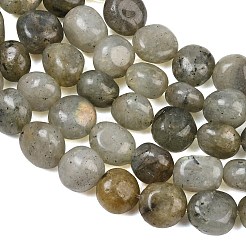Natural Labradorite Beads Strands&nbsp;GG-CBA787B-A36