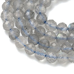 Natural Labradorite Beads Strands&nbsp;G-B168-A09-4mm