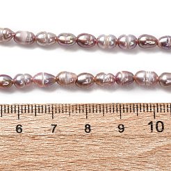 Natural Cultured Freshwater Pearl Beads Strands&nbsp;PEAR-F020-02B