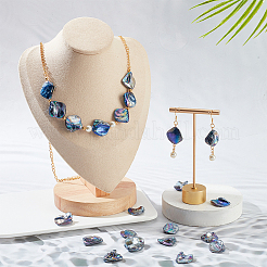 5 Strands Freshwater Shell Beads Strands&nbsp;SHEL-NB0001-58