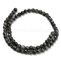 Natural Larvikite Beads Strands&nbsp;G-C280-B06-6mm