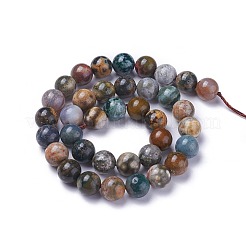 Natural Ocean Agate/Ocean Jasper Beads Strands&nbsp;G-G772-03-C