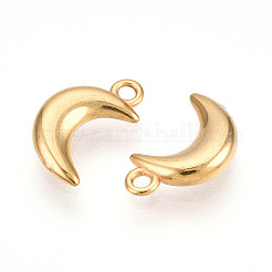 304 Stainless Steel Charms&nbsp;STAS-N109-138G