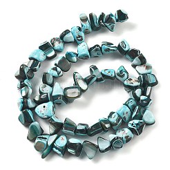 Dyed Natural Trochus Shell Beads Strands&nbsp;BSHE-Z006-01E