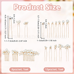 6Pcs Iron Resin Hair Cormbs & 12Pcs Iron Resin Hair Forks for Women&nbsp;PHAR-OC0001-05