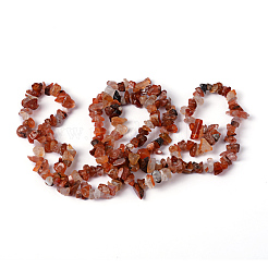 Natural Carnelian Chips Beads Strands&nbsp;F017