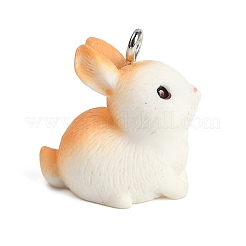 Cute Opaque Resin Pendants&nbsp;RESI-R458-05F