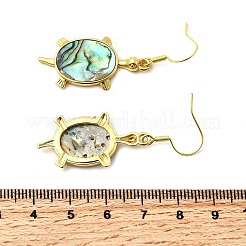Brass Natural Paua Shell Dangle Earrings&nbsp;EJEW-M060-19A-G