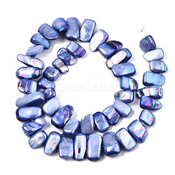 Natural Freshwater Shell Beads Strands&nbsp;SHEL-N026-123G