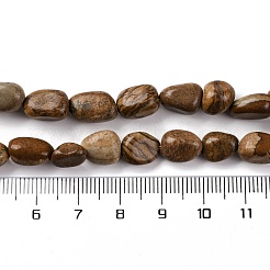 Natural Picture Jasper Beads Strands&nbsp;LS-G-G146-A01-01