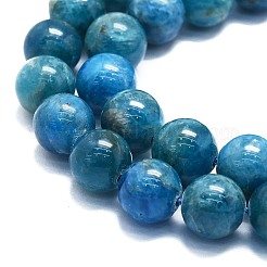 Natural Apatite Beads Strands&nbsp;G-K245-A03-05
