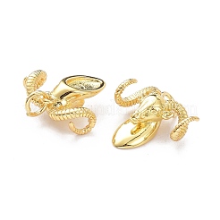Brass Charms&nbsp;KK-L188-70G