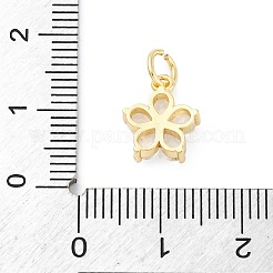 Brass Micro Pave Cubic Zirconia Charms&nbsp;X-KK-S510-13G