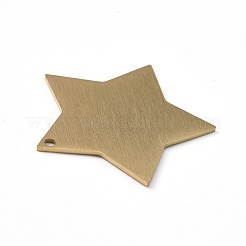 Ion Plating(IP) 304 Stainless Steel Pendants&nbsp;STAS-F271-04F-G