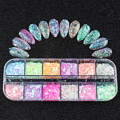 2Pcs 2 Styles 12-grid PET & Aluminum & ABS & Styrene Nail Art Decoration&nbsp;MRMJ-SP0001-33