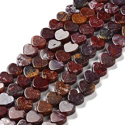 Natural Red Ocean Agate Beads Strands&nbsp;G-G084-B11-02