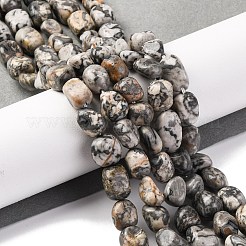 Natural Map Stone Beads Strands&nbsp;LS-G-G146-A11-01