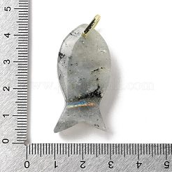 Natural Labradorite Pendants&nbsp;G-Z102-02G-05
