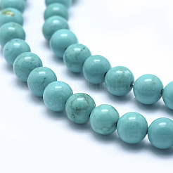 Natural Magnesite Round Beads Strands&nbsp;TURQ-G148-03-6mm